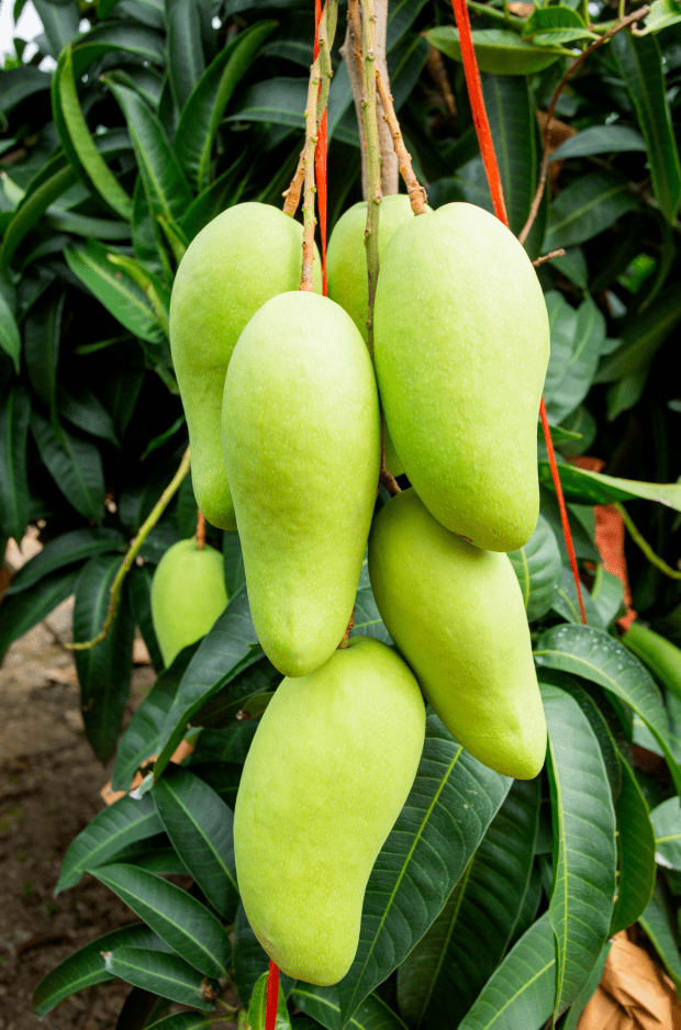 Денис Королев tweet media