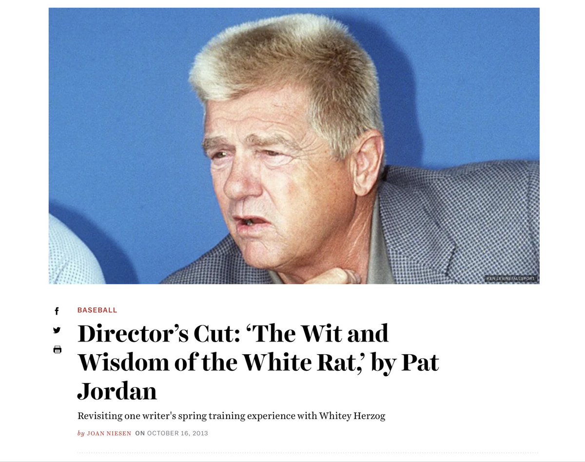 News Punk tweet media