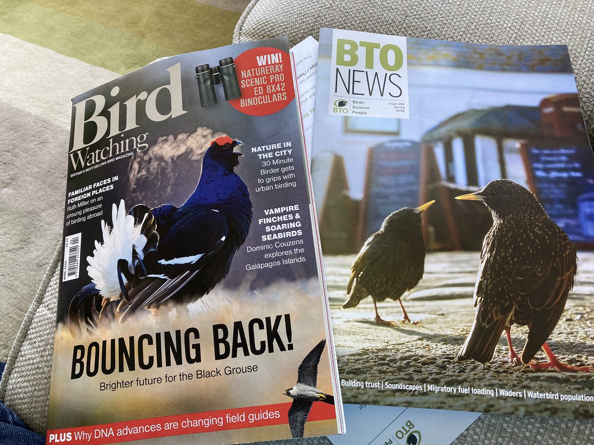 The Edinburgh Birdwatcher tweet media