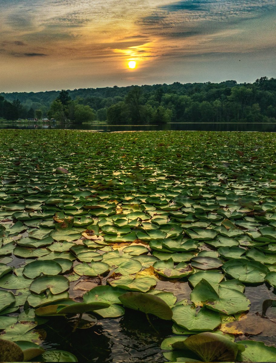 Ken James tweet media