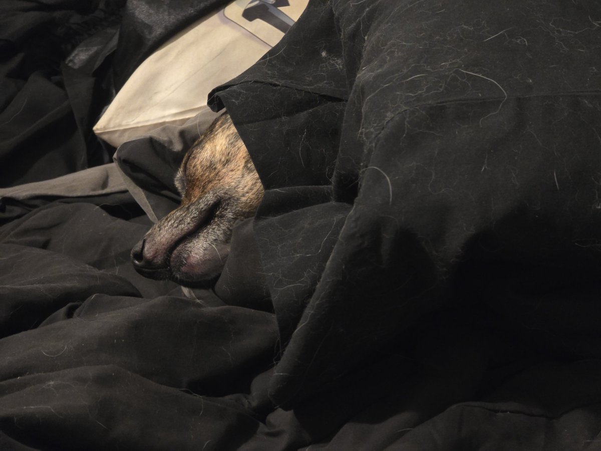 LadyJennaTulz tweet media