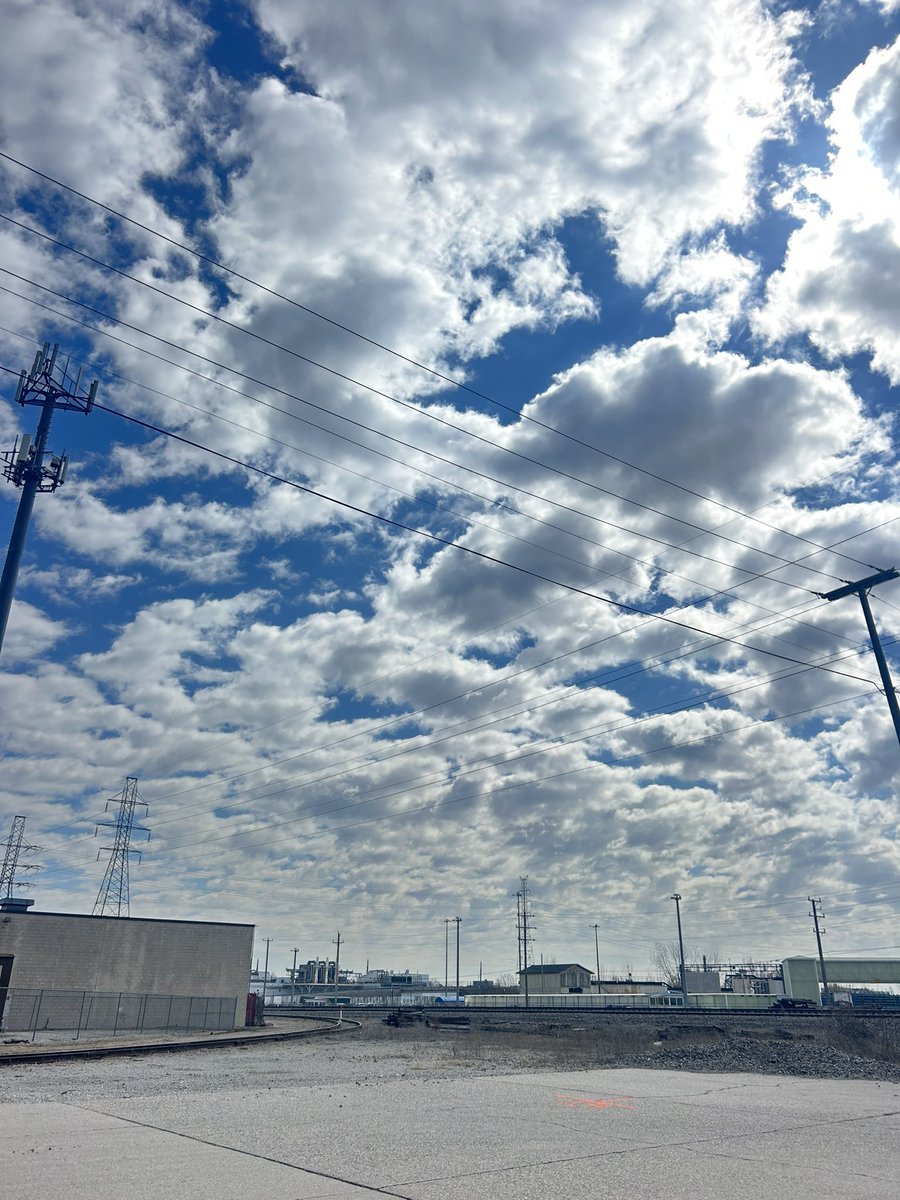 えすじぇい tweet media