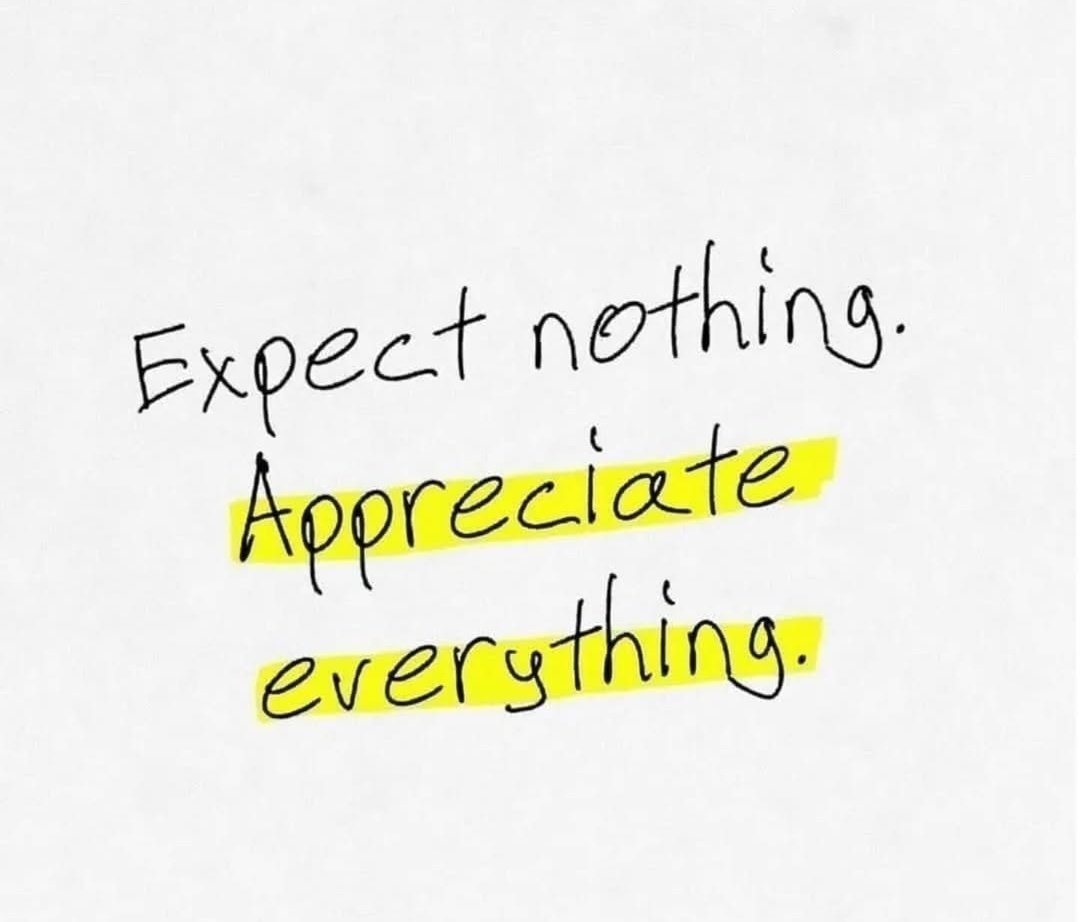 Seek Wiser tweet media