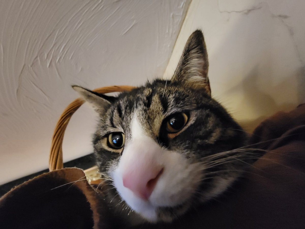 𝙍𝙪𝙣𝙞 tweet media