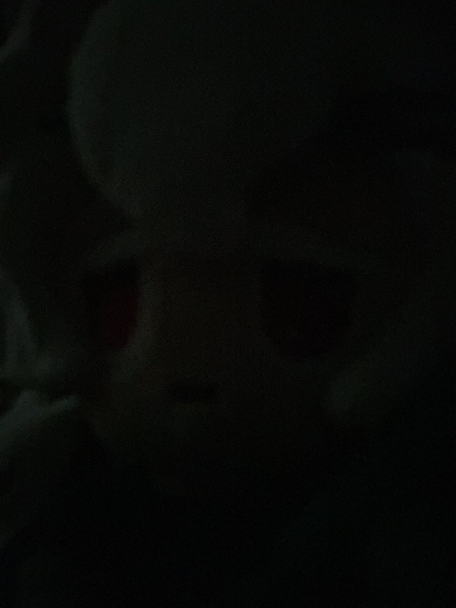 First Sugar Cookie tweet media