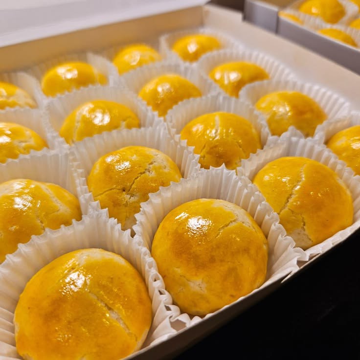 𝗆𝗂𝗄𝖺𝖾𝗅𝖺 ⋆ tweet media