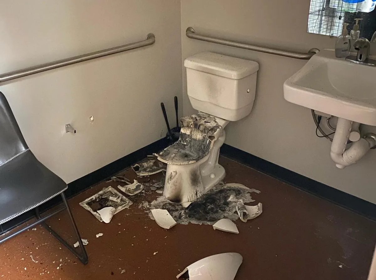 Finance Reb 🦈 tweet media