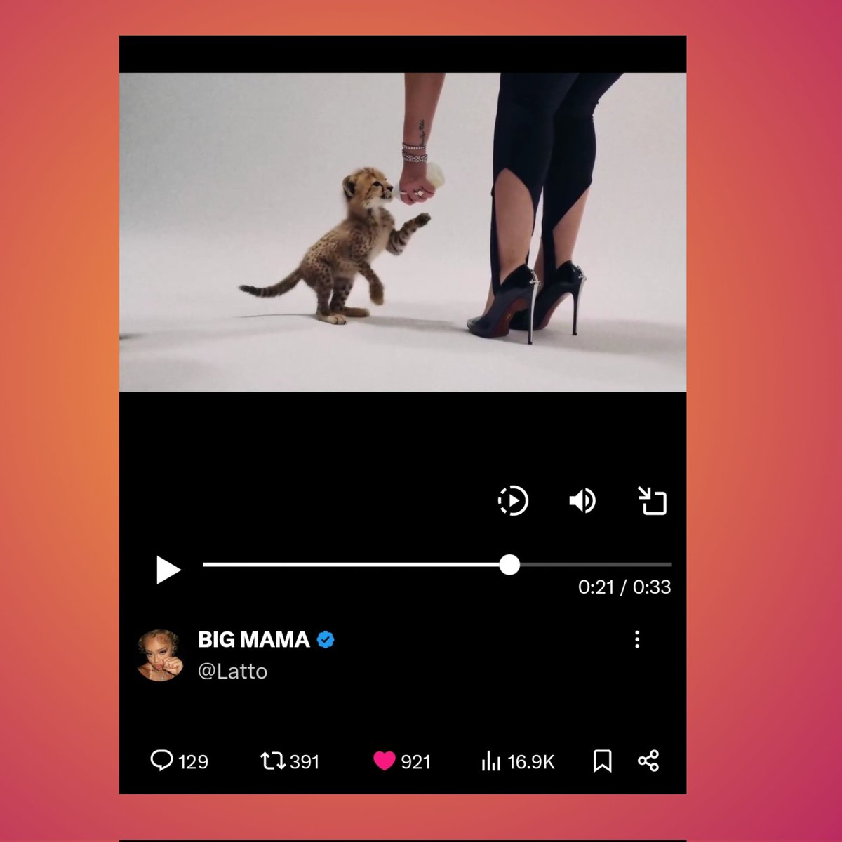 Red Media tweet media