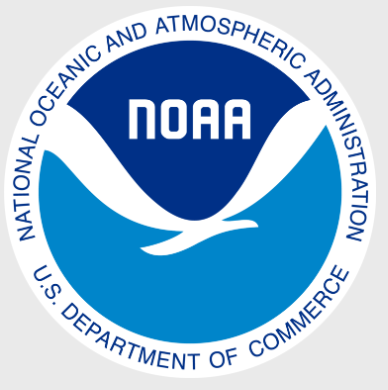 Phillip.png ⚡🐢 tweet media