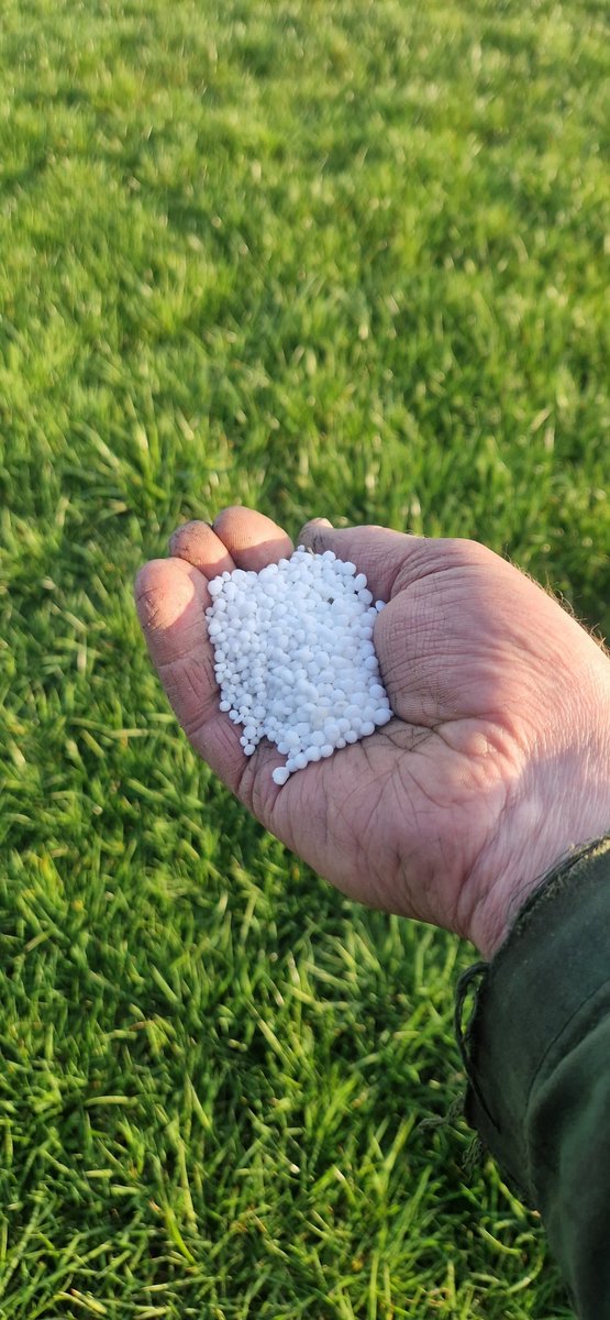 Siebren Miedema tweet media