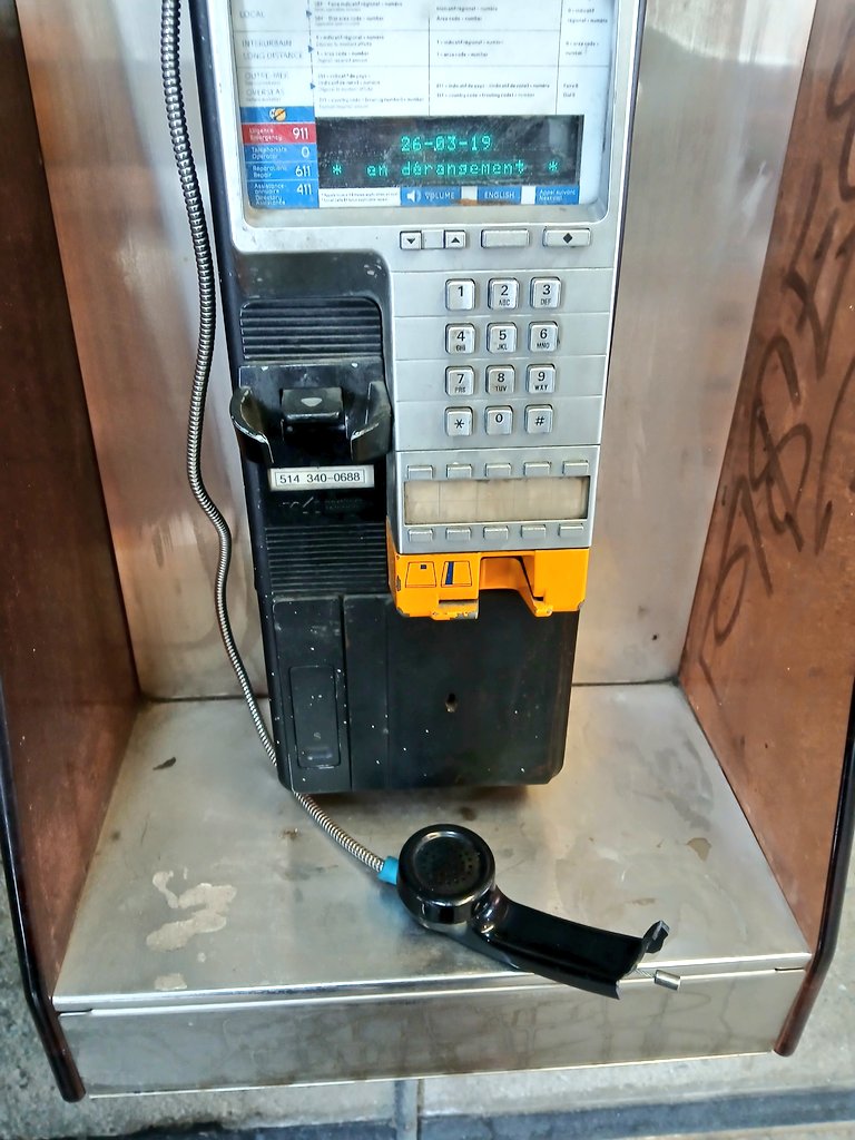 Irizaurus tweet media