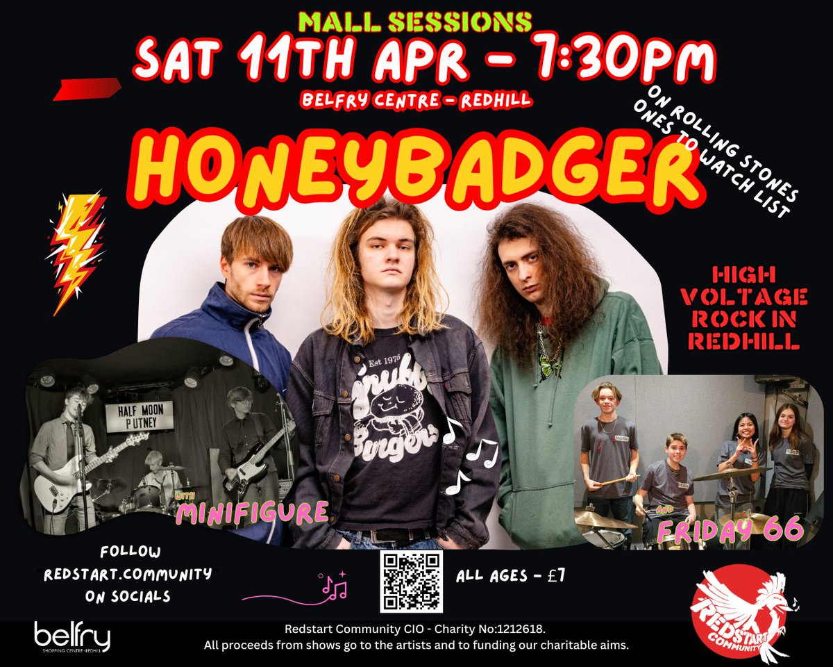 Redhill Redstart - Steve T 🌏⚒️ tweet media