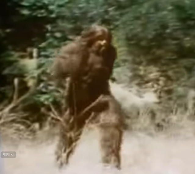 456girls ⚡️Premium+ tweet media