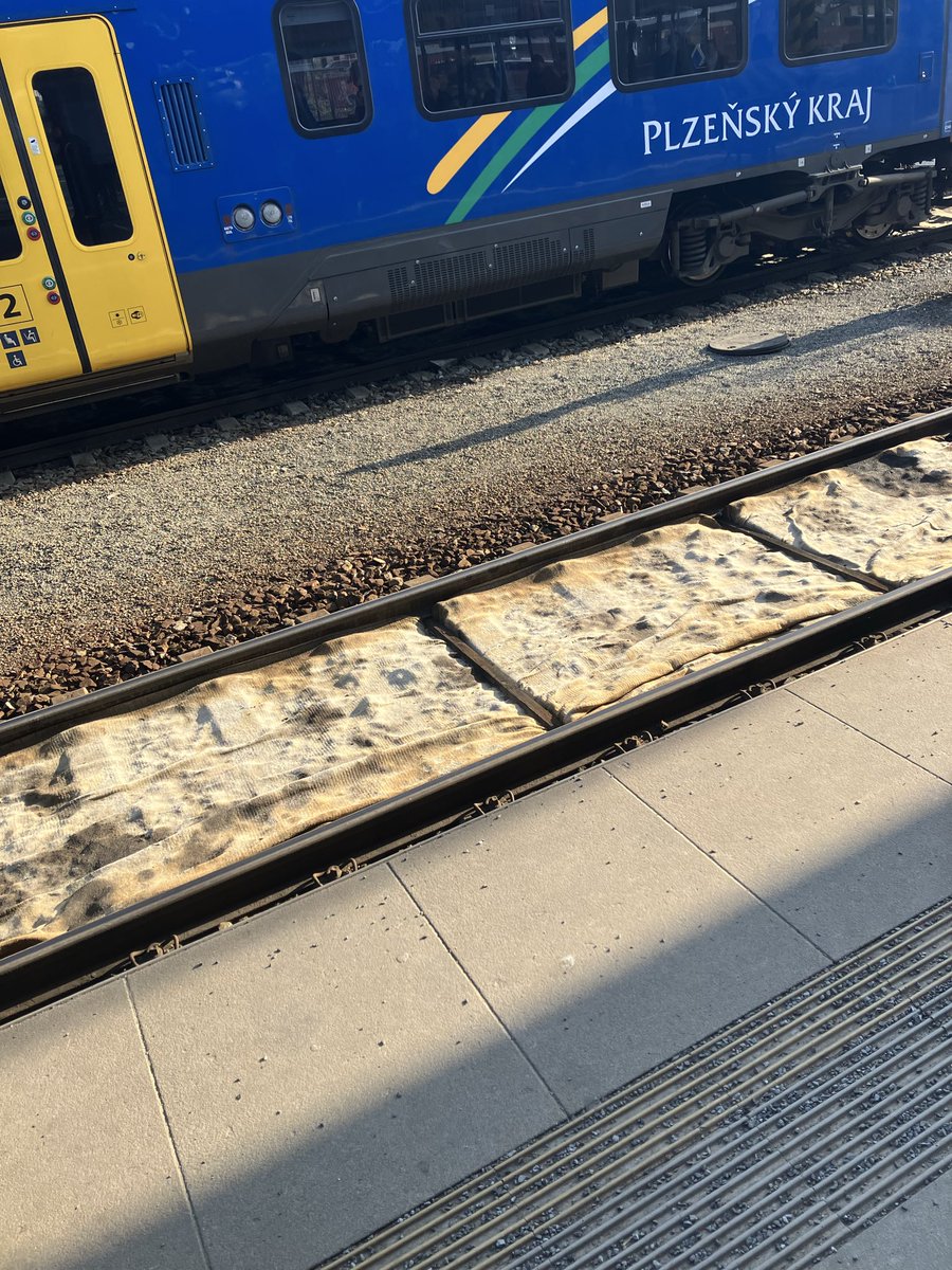 jakub (na houbách) tweet media