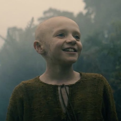 splat 🛡️🌳🐉 tweet media