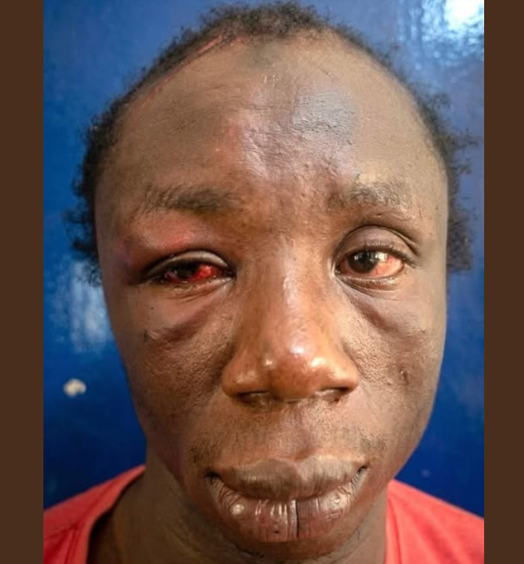 African Hub tweet media