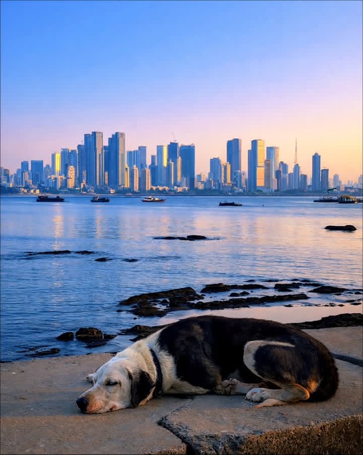 Amazing Eyes tweet media