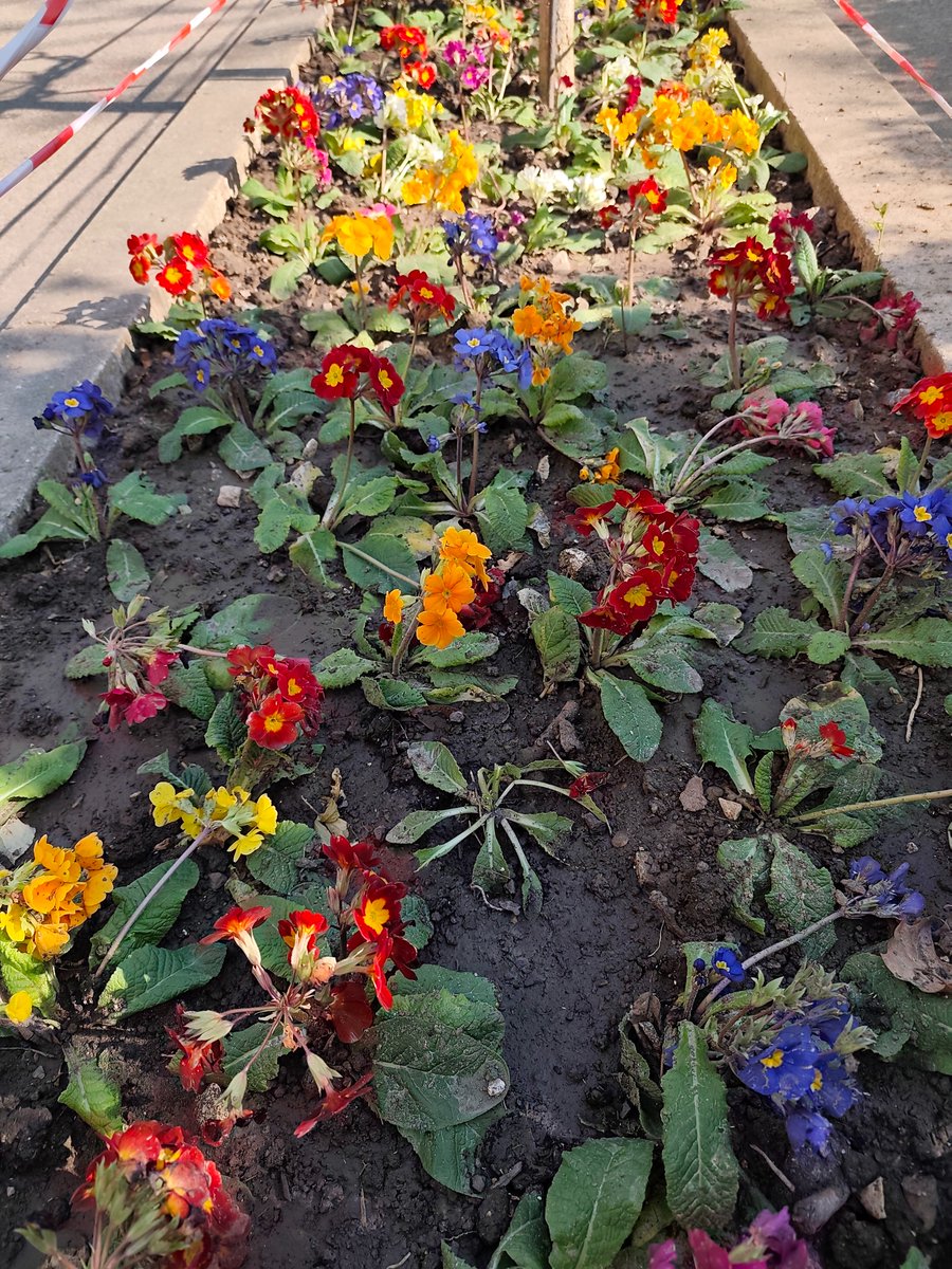 ⚜️🏳️‍🌈🏳️‍🌈Freddie 🏳️‍🌈🏳️‍🌈⚜️ tweet media