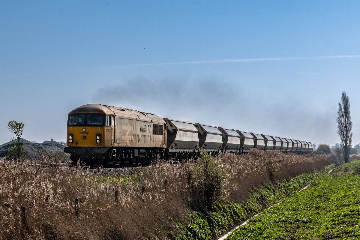 Chris's Photos - Tubby Tabby Images tweet media