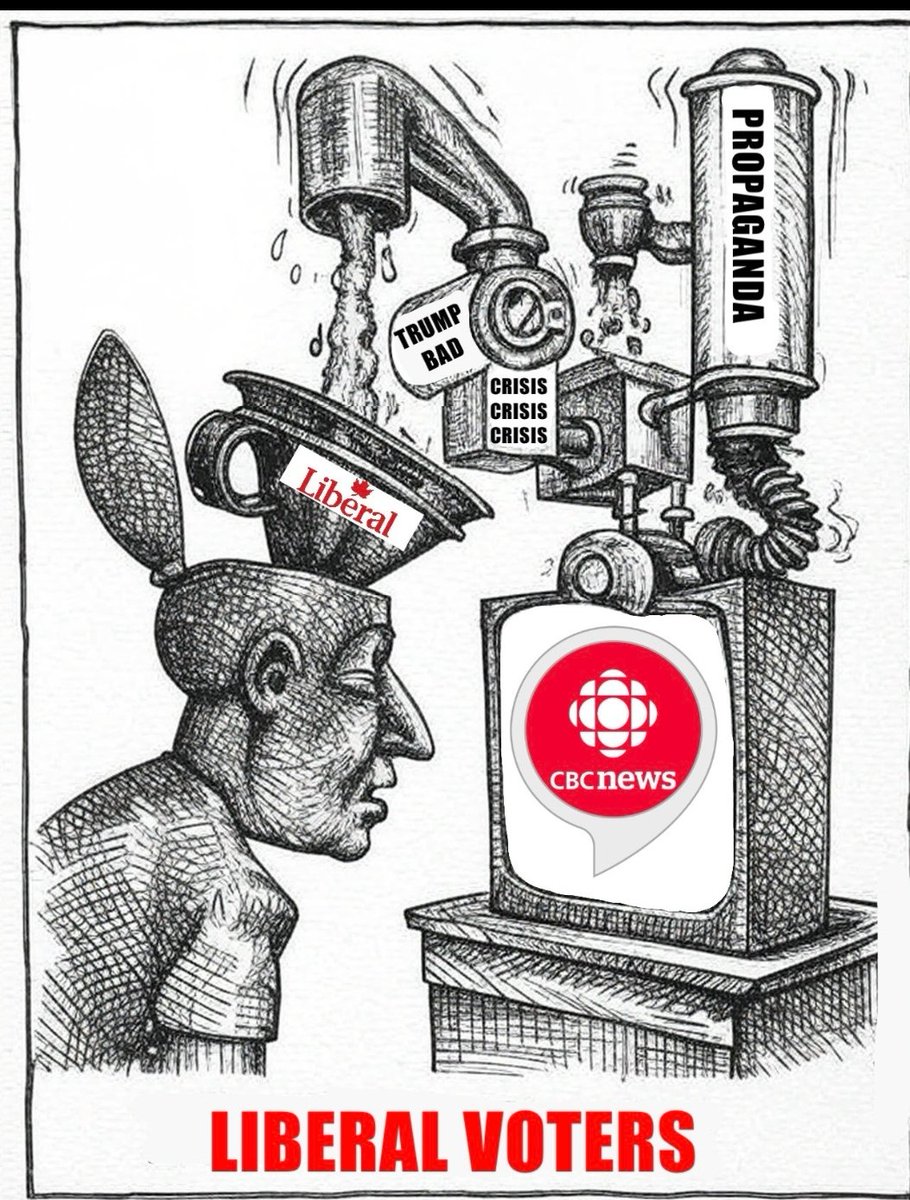 Saltwater Cowboy tweet media