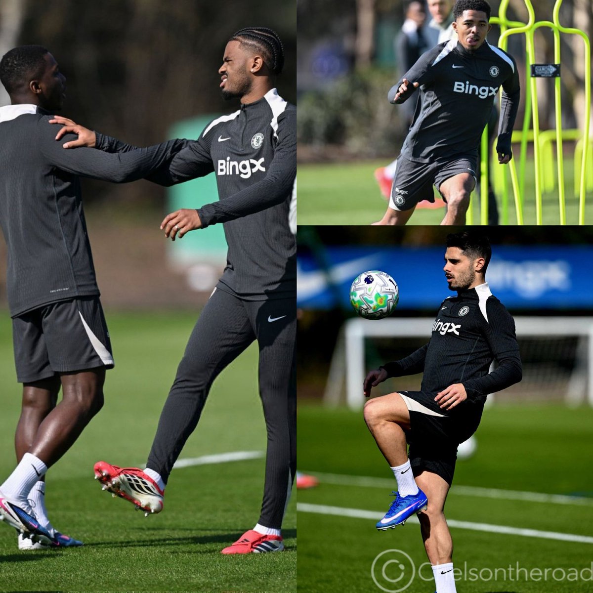 JOSHUA RHODES | CFC 🦁 tweet media