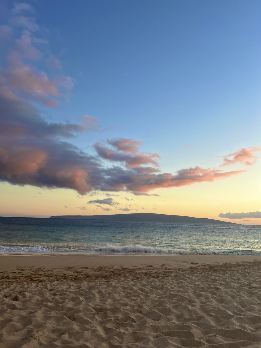 TravelWithMazmo tweet media