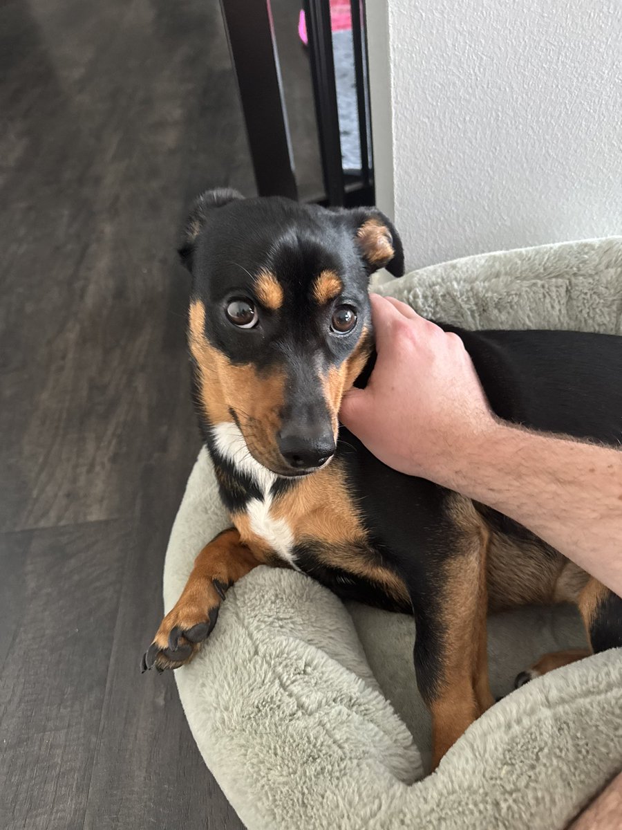 DJ ½ 🔇 tweet media