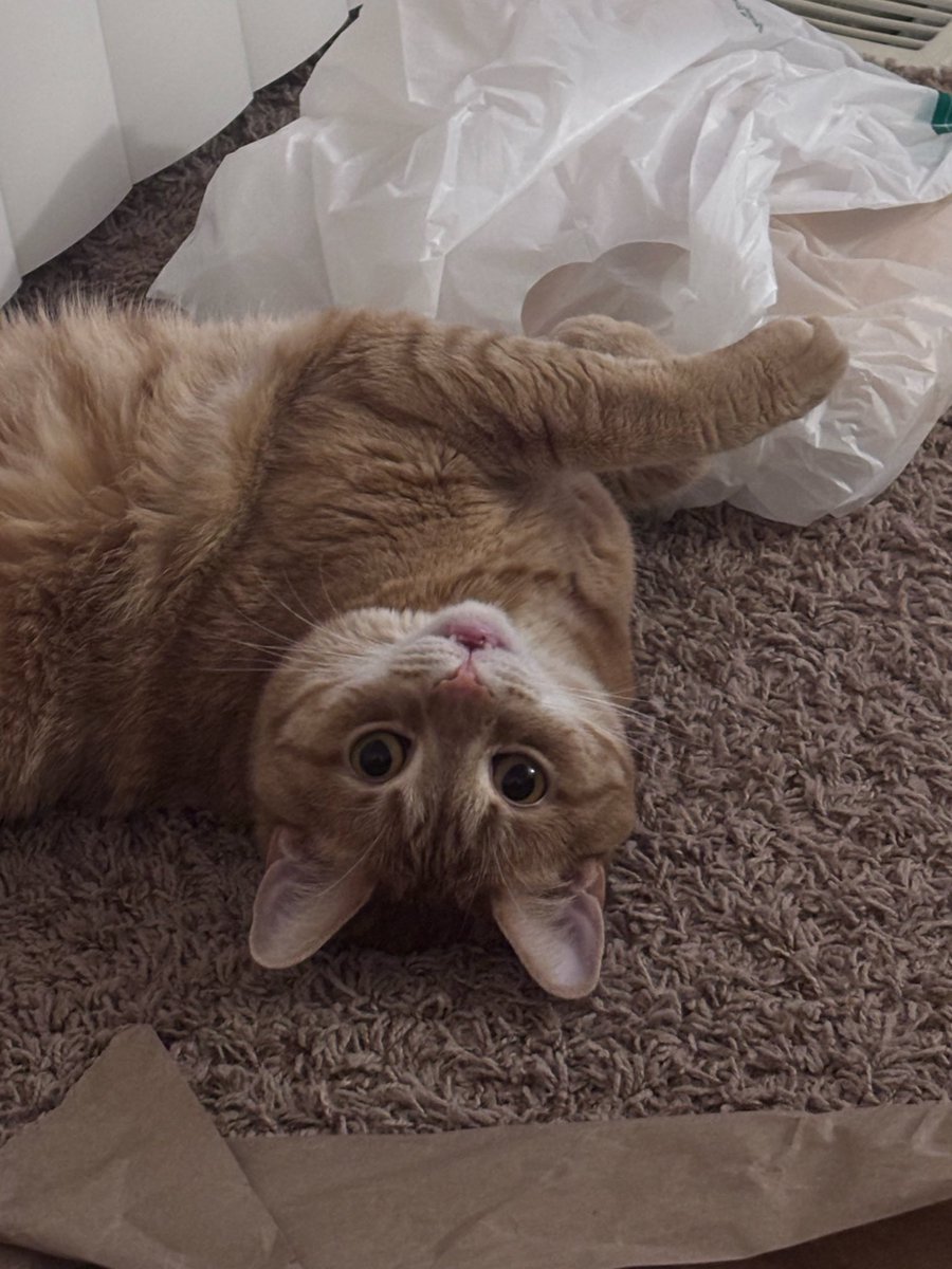 Christina tweet media