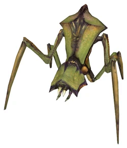 sounds like these two