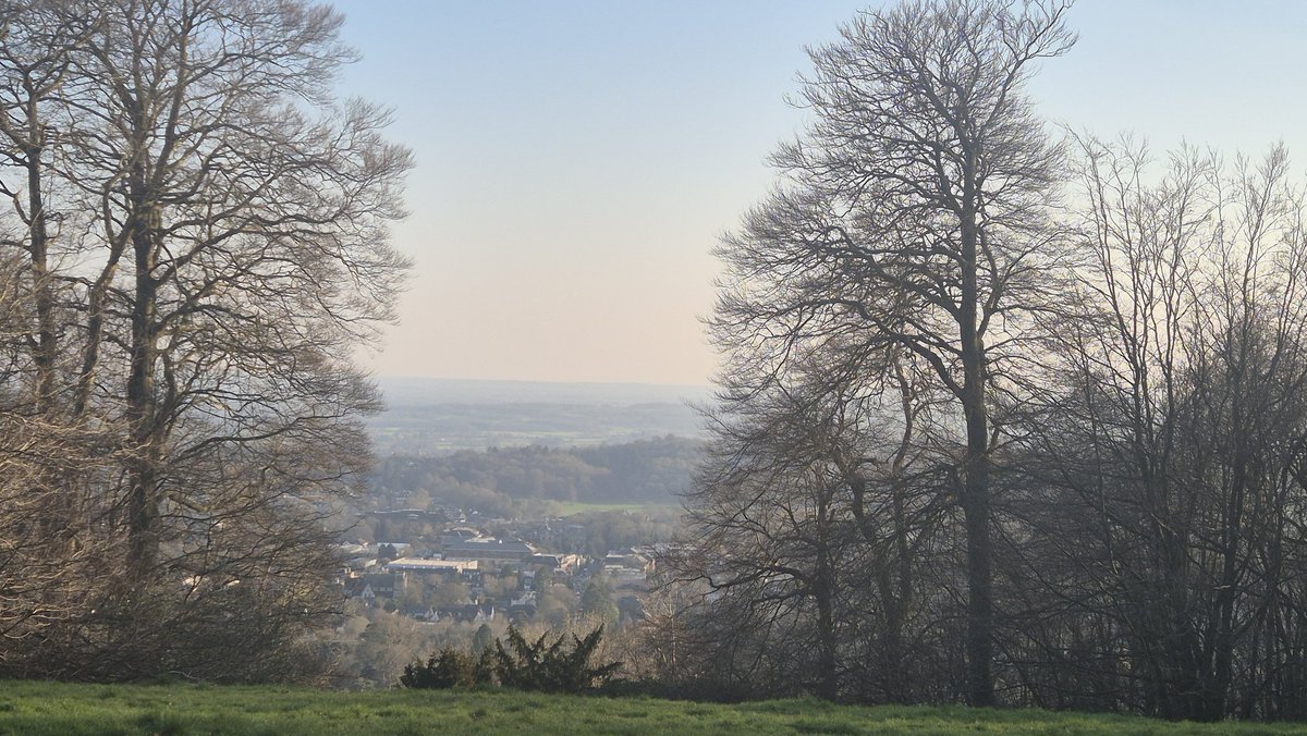 andy graham tweet media