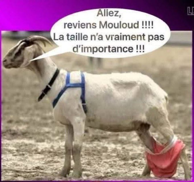 resilience israel tweet media