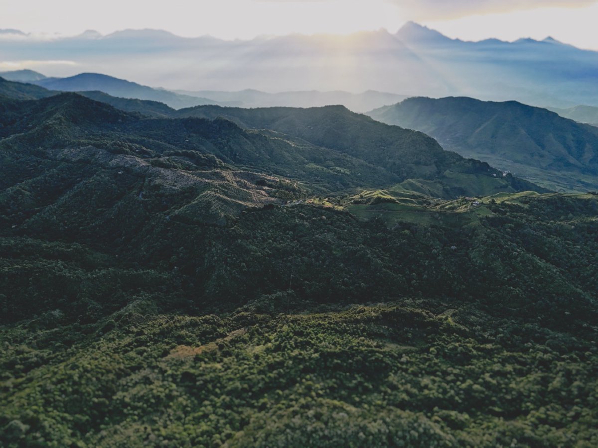 TF_Global's tweet photo. "through beautiful lands where green is made of all colors,
the winds sing through Colombia."
— Aurelio Arturo, Morada al Sur
We're helping bring the green back.
#Reforestation #NativeTrees #ForestRestoration #ColombianPoet #Colombia https://t.co/1LoxEztBUO