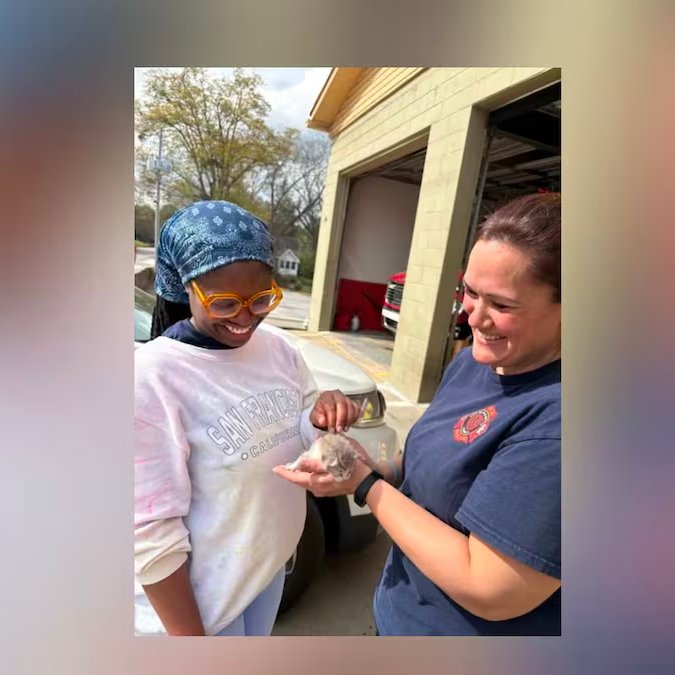 Everything Georgia tweet media