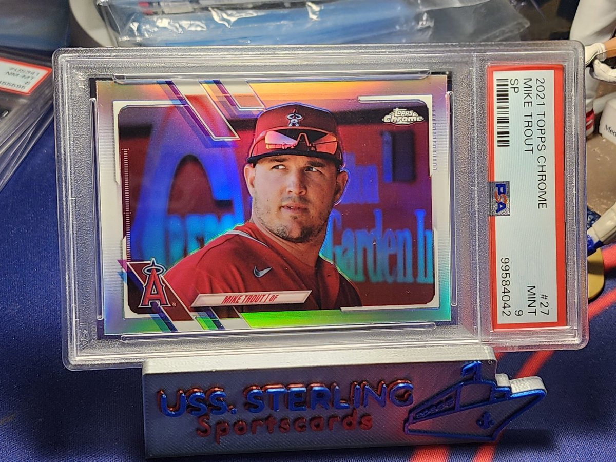 Seth Sterling🌵🏴‍☠️👆 tweet media