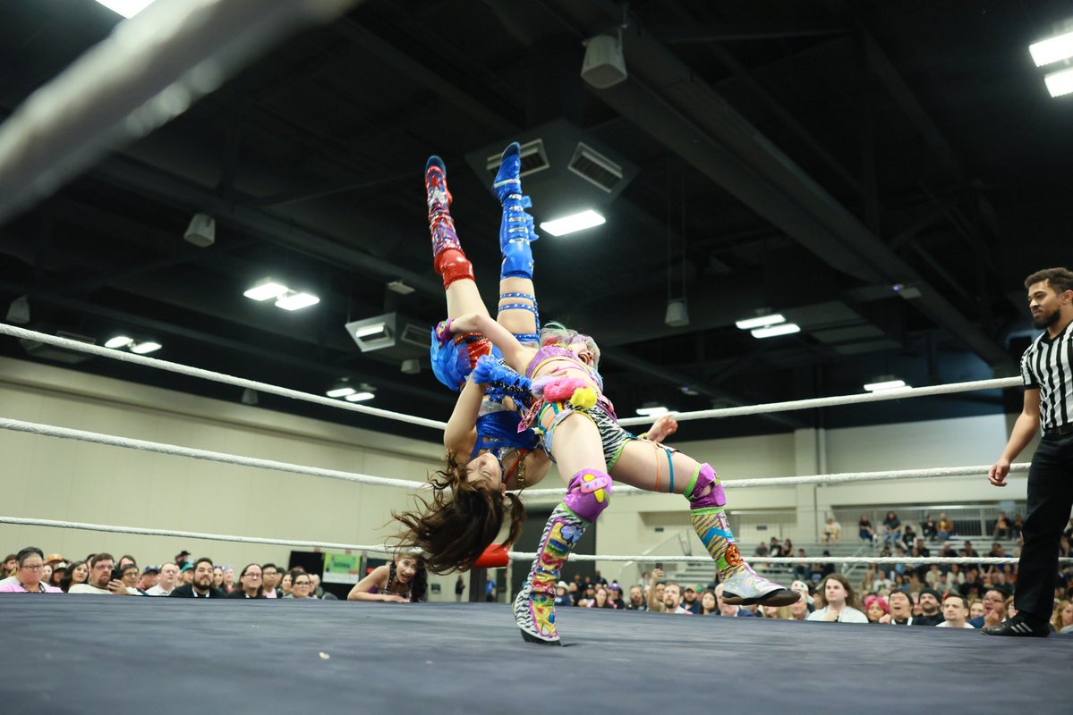 遠藤有栖 Arisu Endo🦓💜💛 tweet media