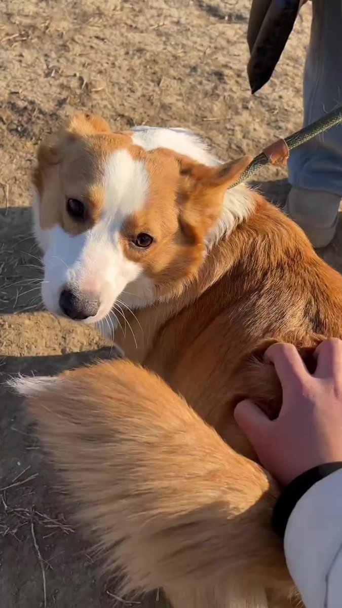 Molly Clark 💖 tweet media