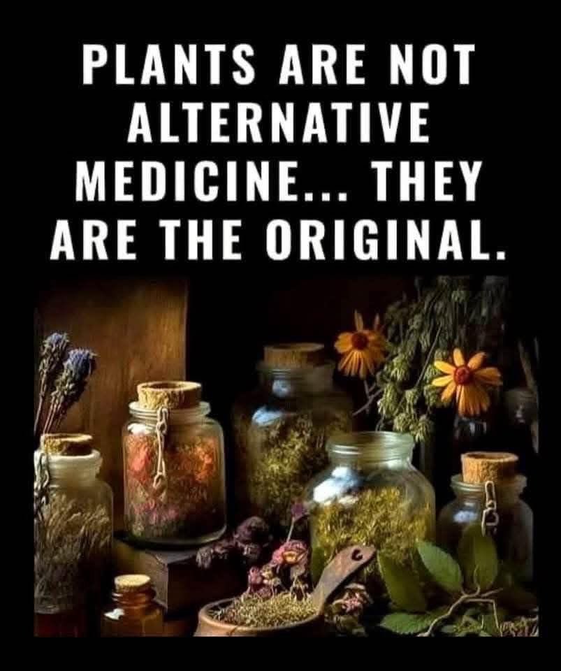 Liz M Edgington🇬🇧🇨🇦 tweet media