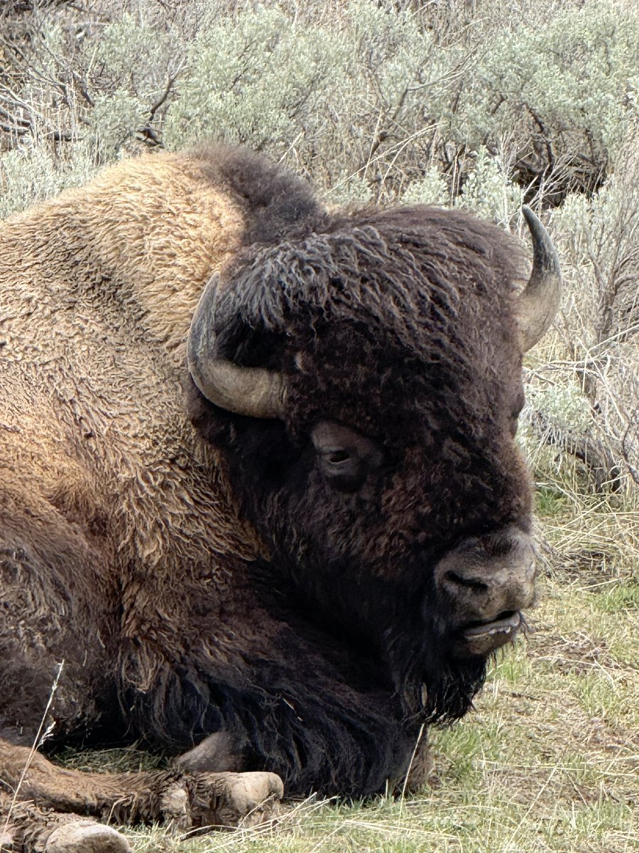 MMCM(SS) Ret. tweet media