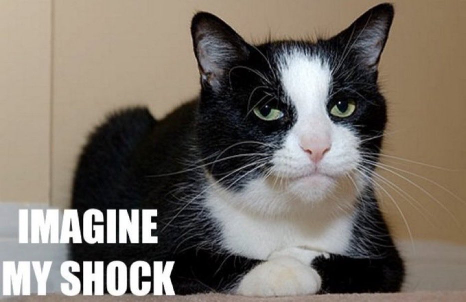 Mark from Ark tweet media