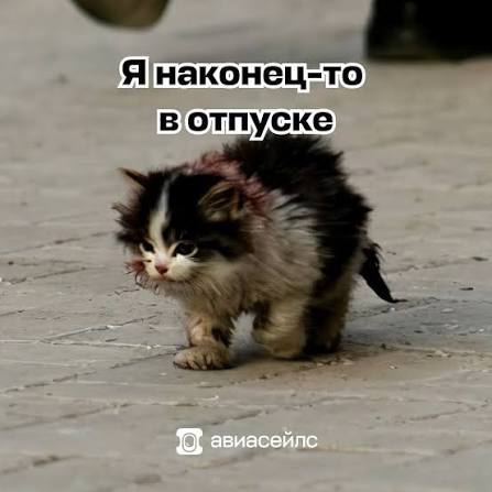 Профи.ру tweet media