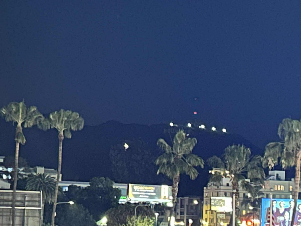 Lisa Michelle Lutes tweet media