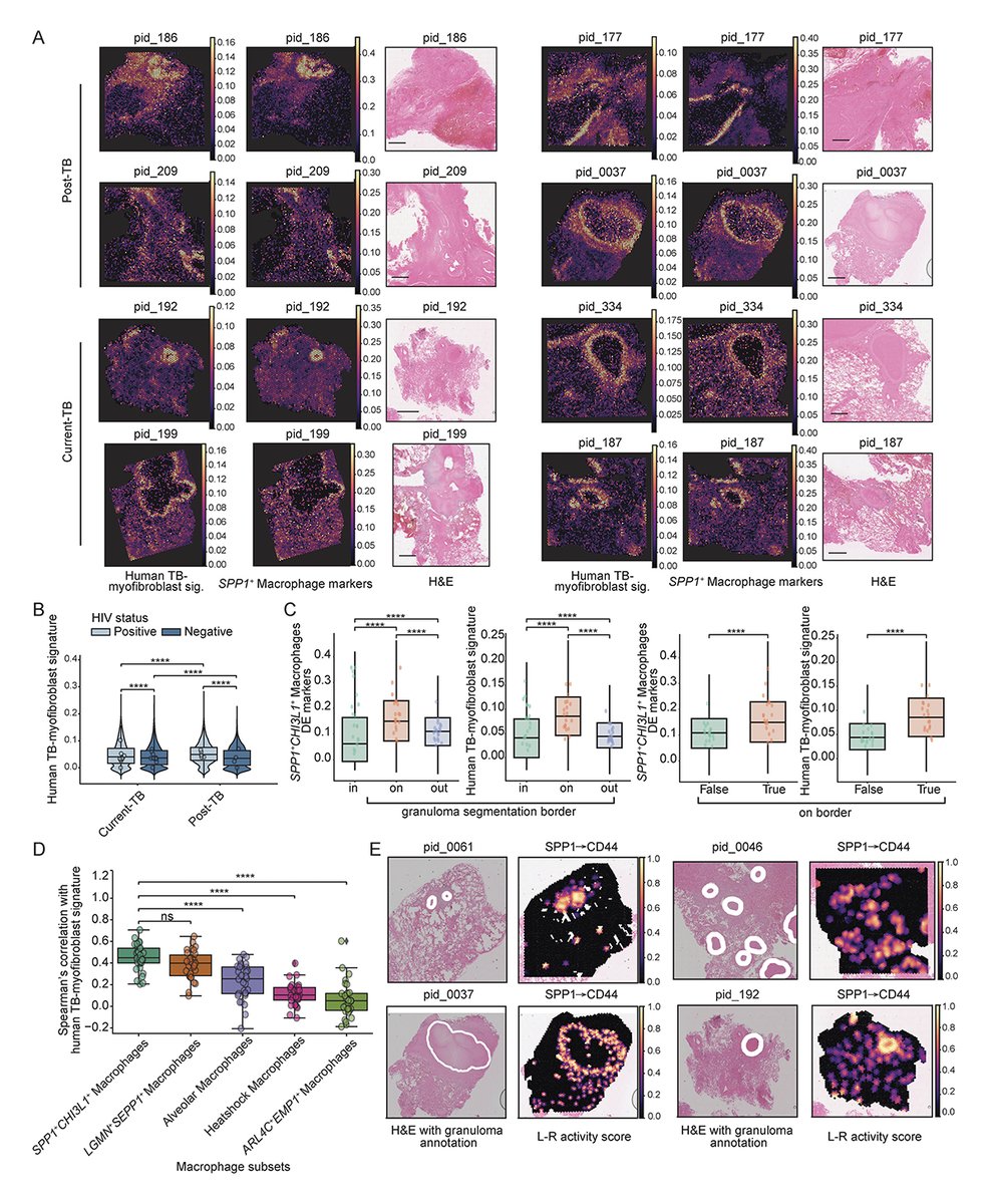 Journal of Experimental Medicine tweet media