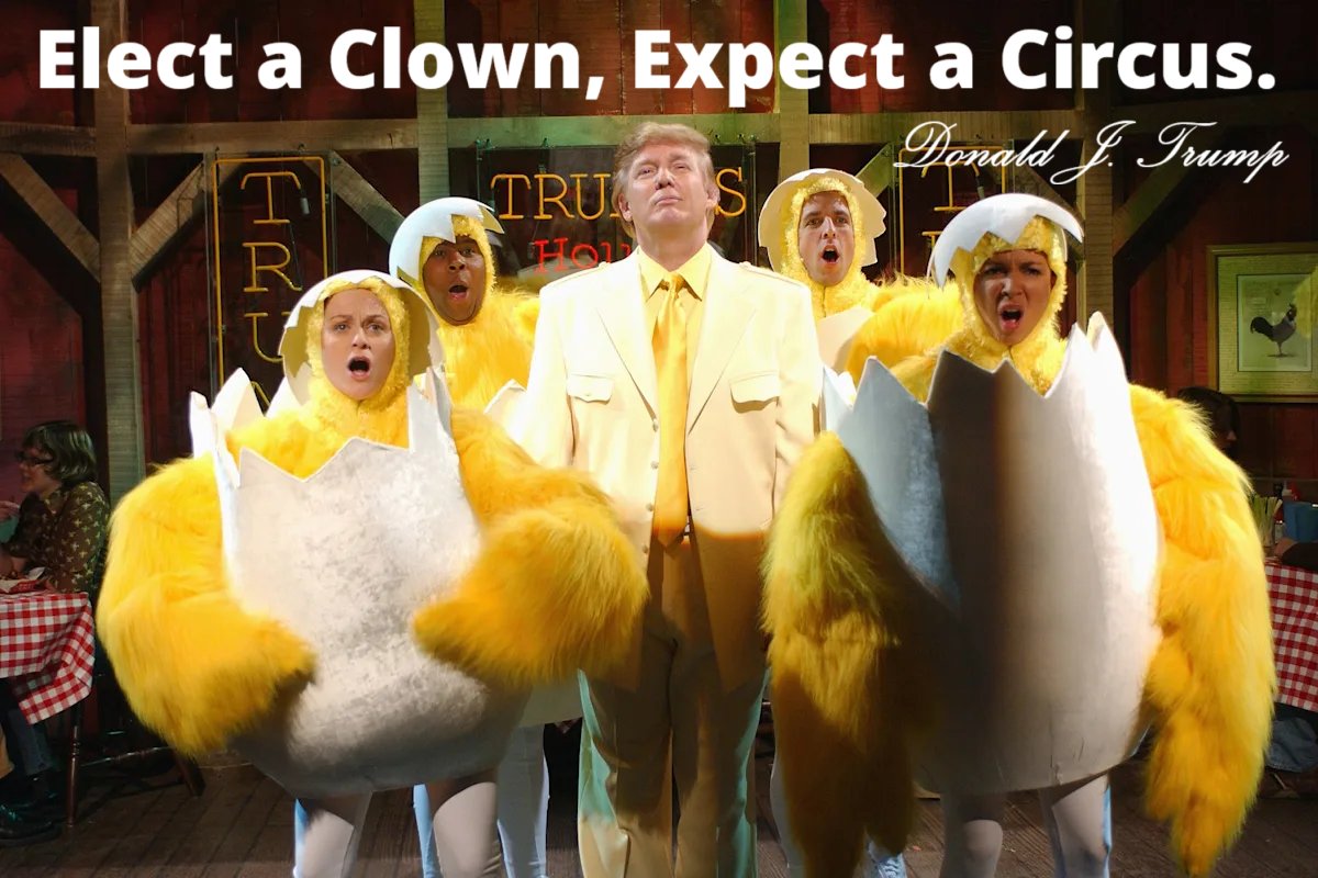 MTB Fella tweet media