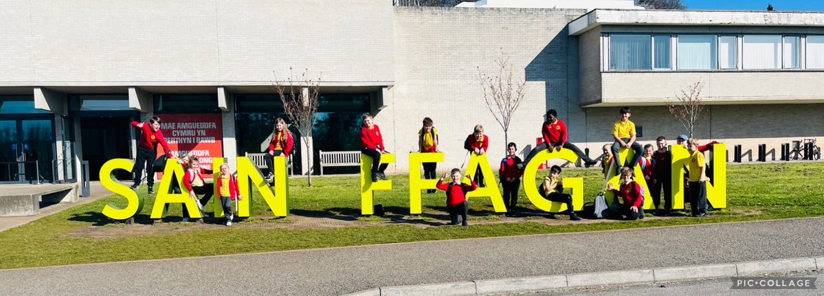 St David's RC Primary tweet media