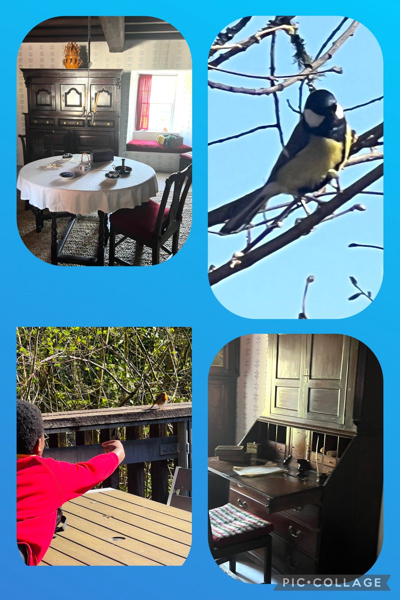 St David's RC Primary tweet media