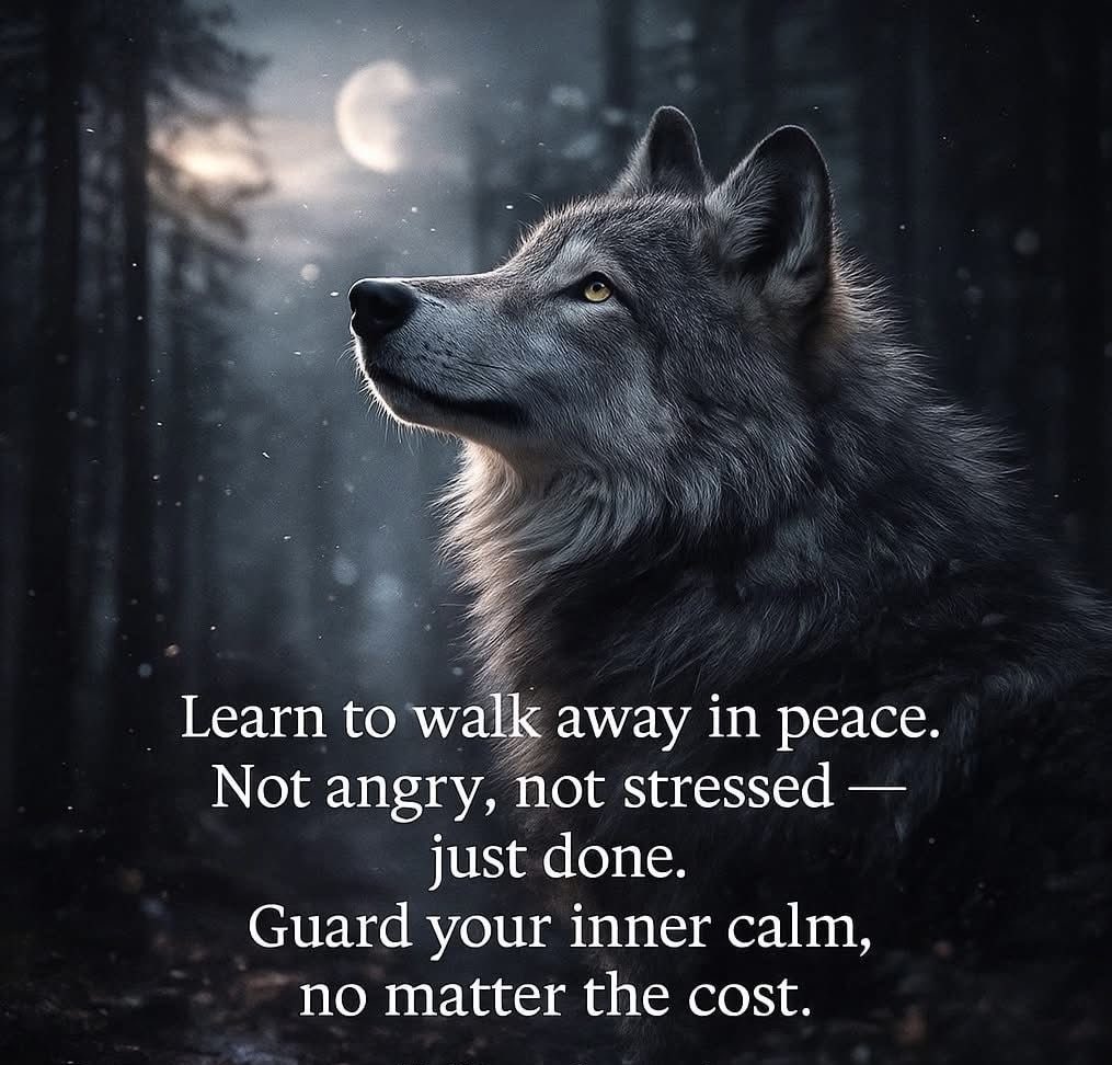 Liz M Edgington🇬🇧🇨🇦 tweet media