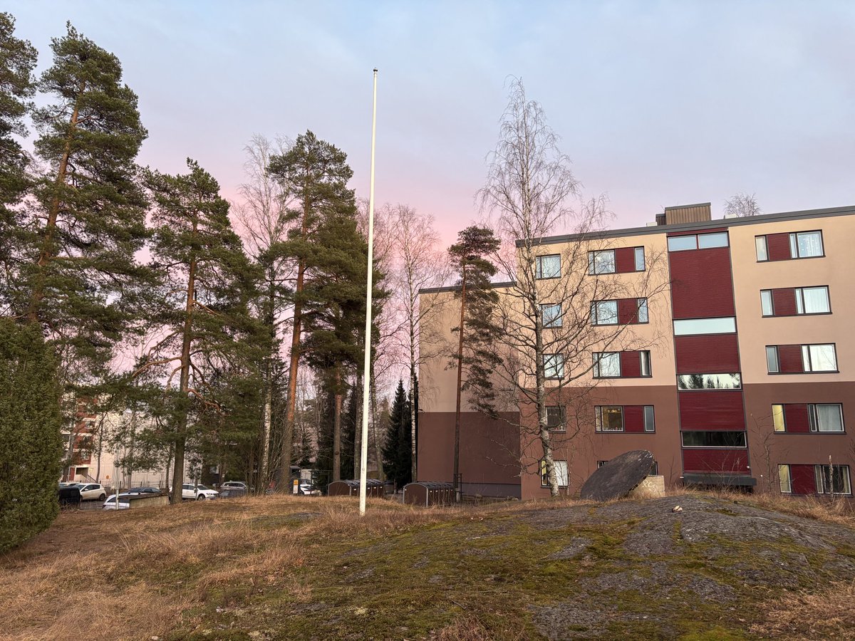 ХеллсинГусь tweet media