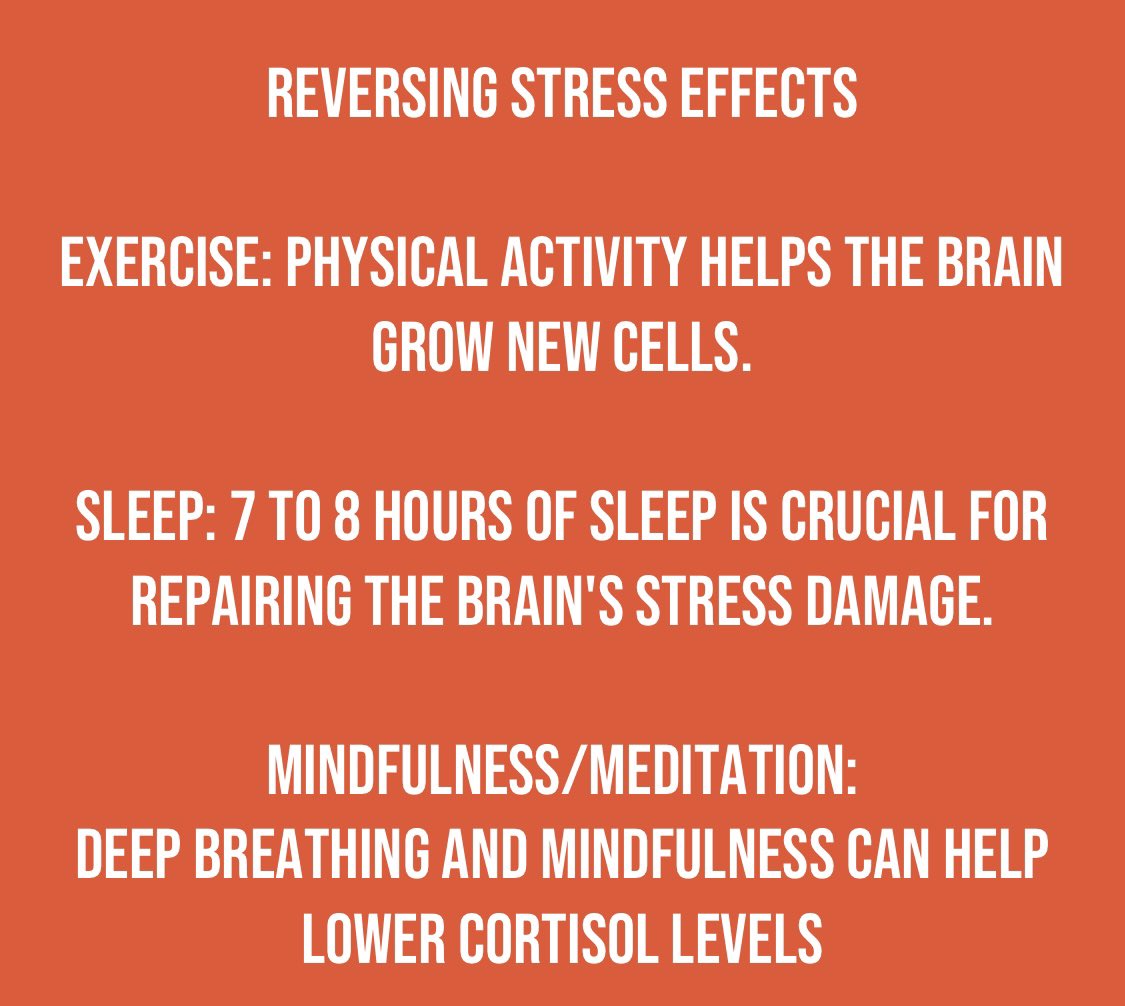 LeahDeMarest21's tweet photo. Chronic stress structurally alters the brain, strengthening the amygdala (fear center) while shrinking the hippocampus (memory/learning) and prefrontal cortex (executive function). https://t.co/HOb3nC28kr