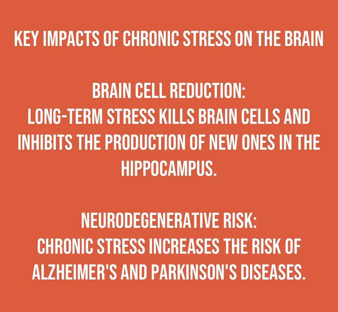 LeahDeMarest21's tweet photo. Chronic stress structurally alters the brain, strengthening the amygdala (fear center) while shrinking the hippocampus (memory/learning) and prefrontal cortex (executive function). https://t.co/HOb3nC28kr