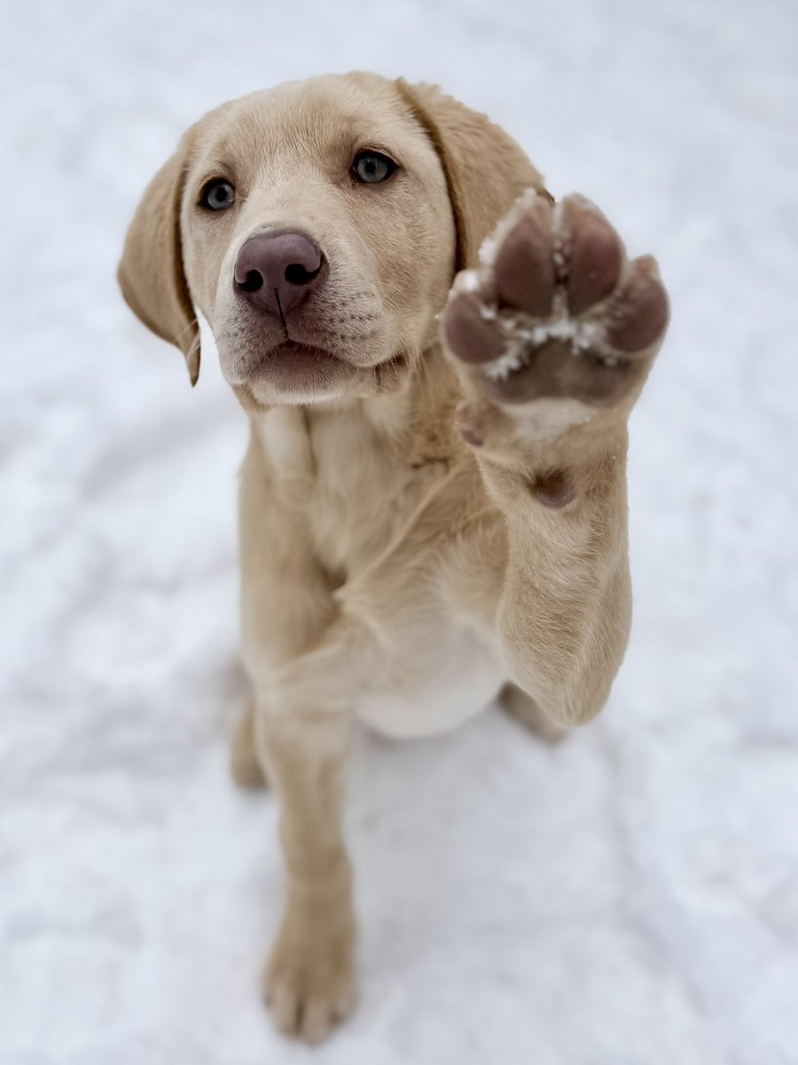 Jackson & Abbey tweet media